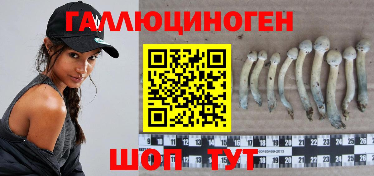 Галлюциногенные грибы мицелий  Псилоцибиновые грибы ЛСД  Нерюнгри  Вход с VPN 