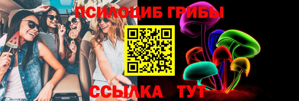 Псилоцибиновые грибы Cubensis Нерюнгри